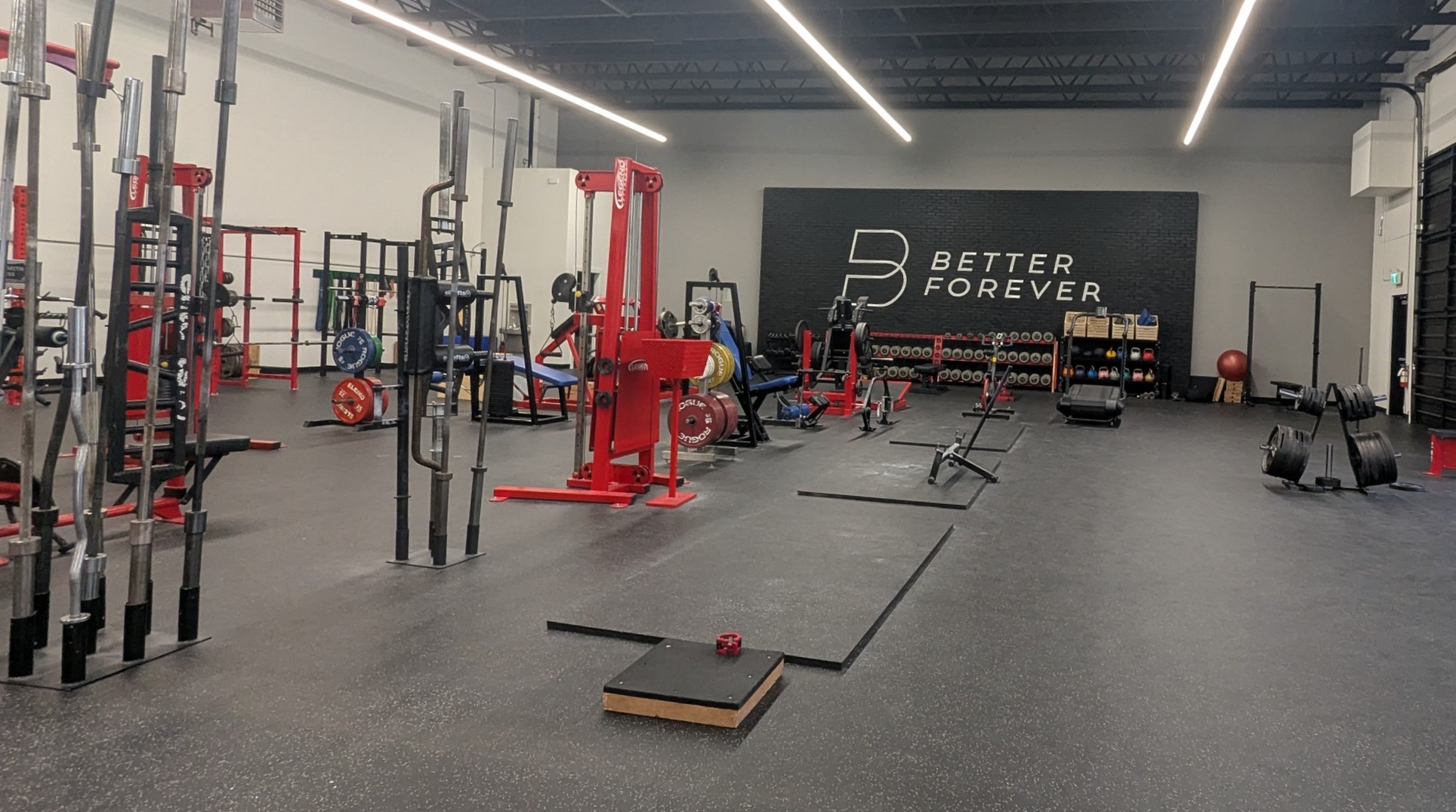 The Better Forever training floor, with squat racks, dumbbells and the painted logo wall